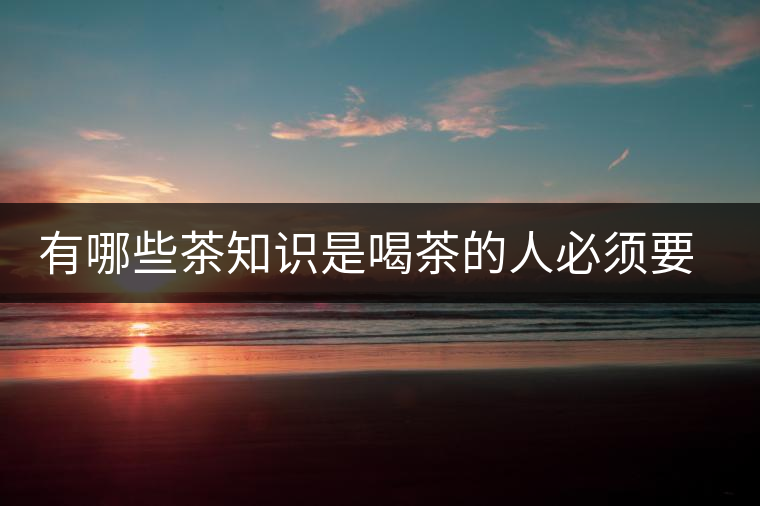 有哪些茶知識是喝茶的人必須要懂的？