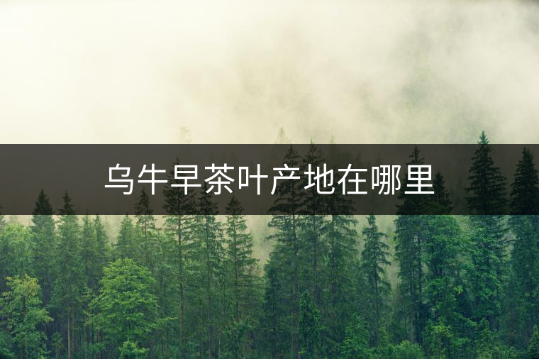 烏牛早茶葉產(chǎn)地在哪里