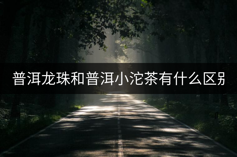 普洱龍珠和普洱小沱茶有什么區(qū)別？