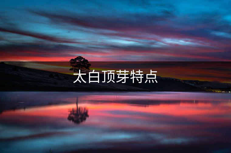 太白頂芽特點