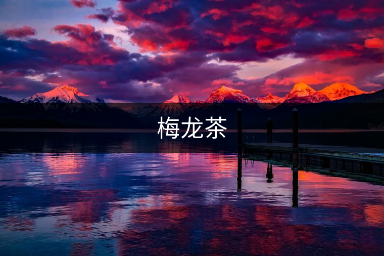 梅龍茶