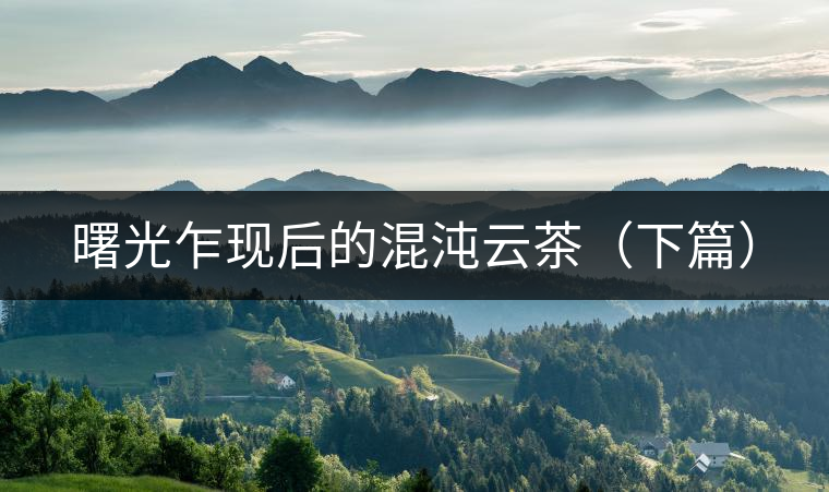 曙光乍現(xiàn)后的混沌云茶（下篇）