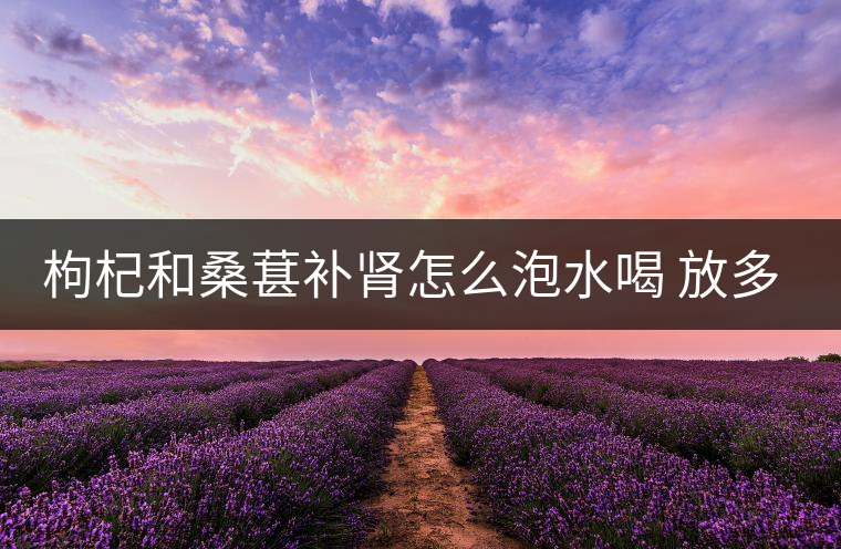 枸杞和桑葚補腎怎么泡水喝 放多少合適