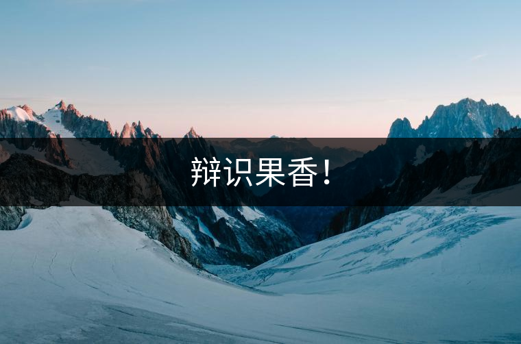 辯識果香！