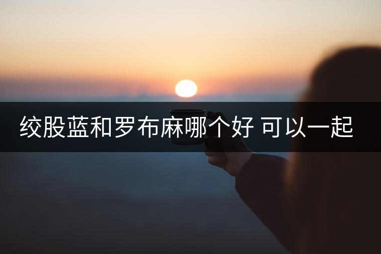絞股藍(lán)和羅布麻哪個(gè)好 可以一起泡水喝嗎