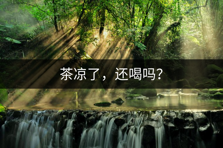 茶涼了，還喝嗎？
