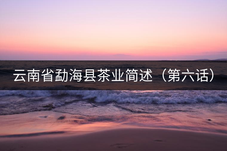 云南省勐?？h茶業(yè)簡(jiǎn)述（第六話）