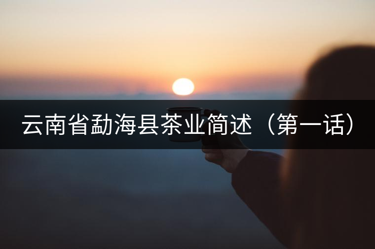 云南省勐?？h茶業(yè)簡(jiǎn)述（第一話）