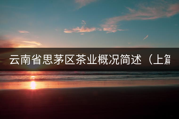 云南省思茅區(qū)茶業(yè)概況簡述（上篇）