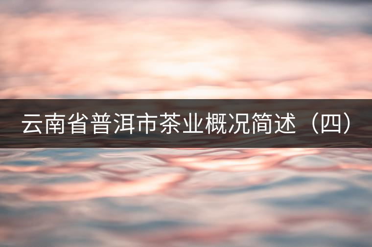云南省普洱市茶業(yè)概況簡述（四）