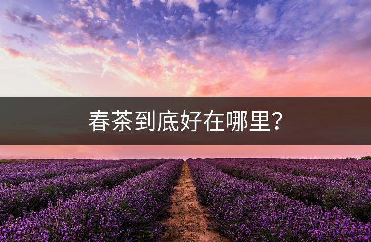 春茶到底好在哪里？