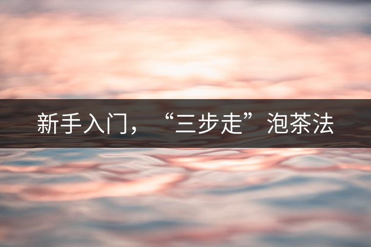 新手入門(mén)，“三步走”泡茶法