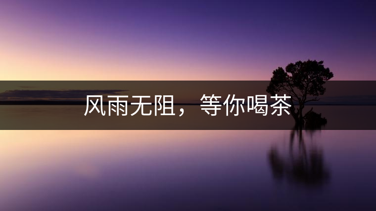 風(fēng)雨無阻，等你喝茶