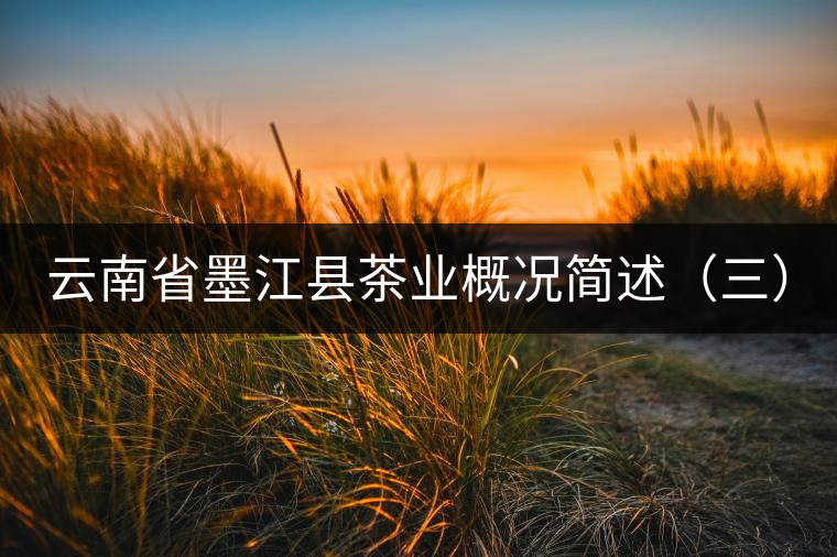 云南省墨江縣茶業(yè)概況簡述（三）