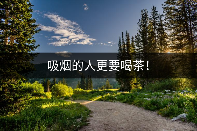 吸煙的人更要喝茶！