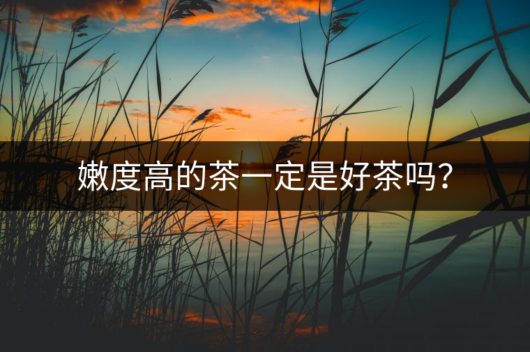 嫩度高的茶一定是好茶嗎？