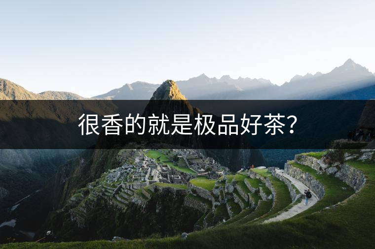 很香的就是極品好茶？
