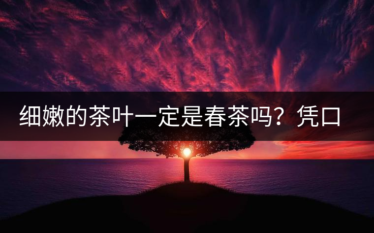 細(xì)嫩的茶葉一定是春茶嗎？憑口感鑒別春茶的方法