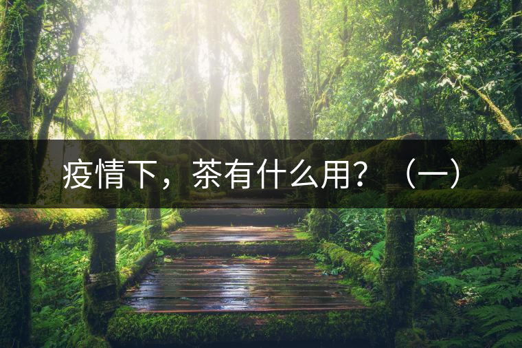 疫情下，茶有什么用？（一）