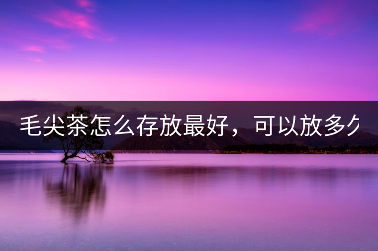 毛尖茶怎么存放最好，可以放多久？