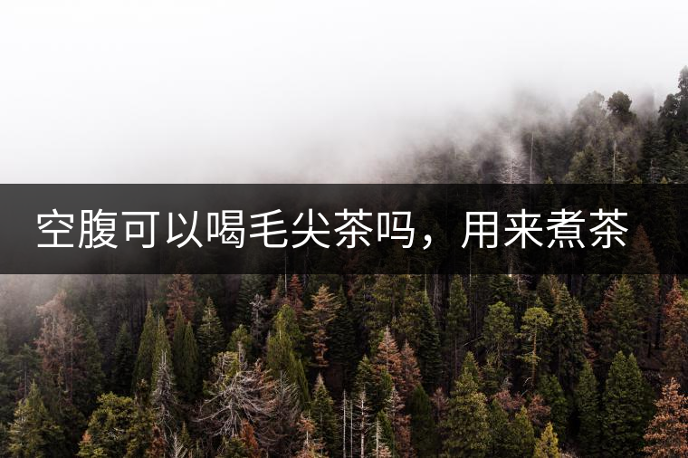 空腹可以喝毛尖茶嗎，用來(lái)煮茶葉蛋怎么樣？