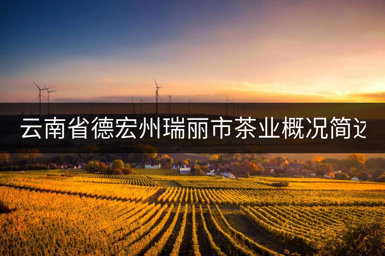 云南省德宏州瑞麗市茶業(yè)概況簡述（下篇）