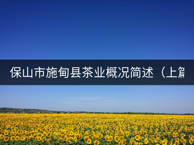 保山市施甸縣茶業(yè)概況簡述（上篇）