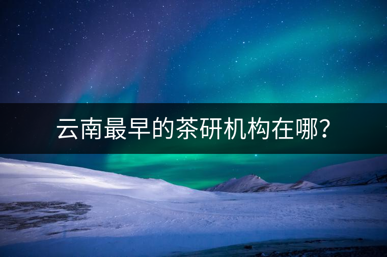 云南最早的茶研機構(gòu)在哪？