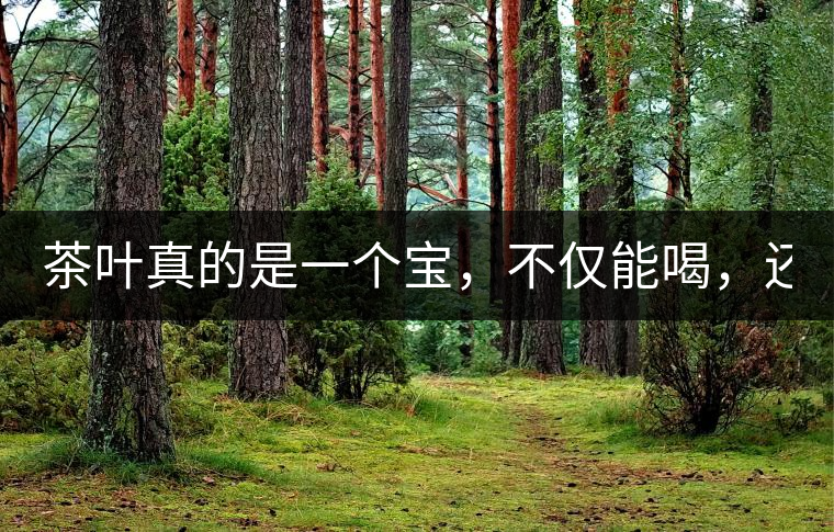茶葉真的是一個寶，不僅能喝，還能用！