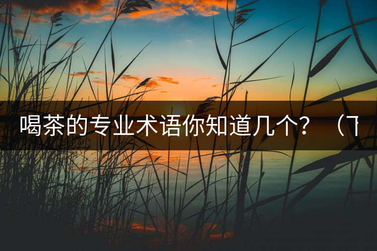 喝茶的專業(yè)術(shù)語你知道幾個？（下篇）