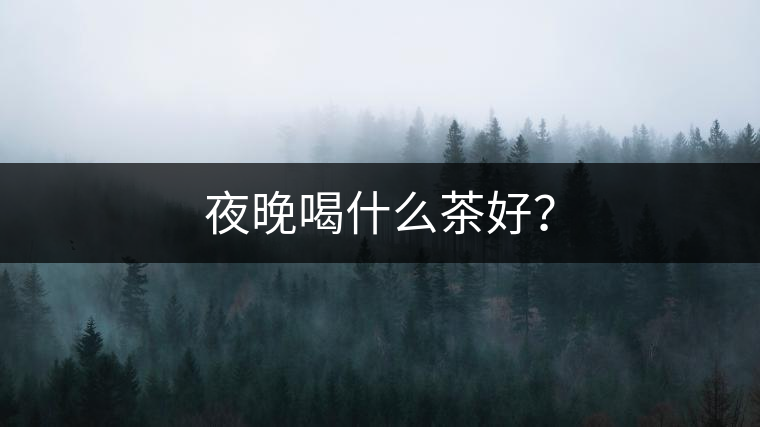 夜晚喝什么茶好？
