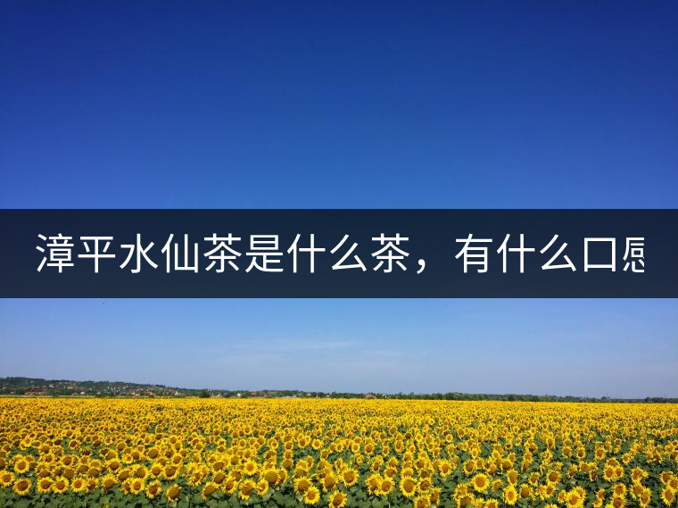 漳平水仙茶是什么茶，有什么口感特點(diǎn)！