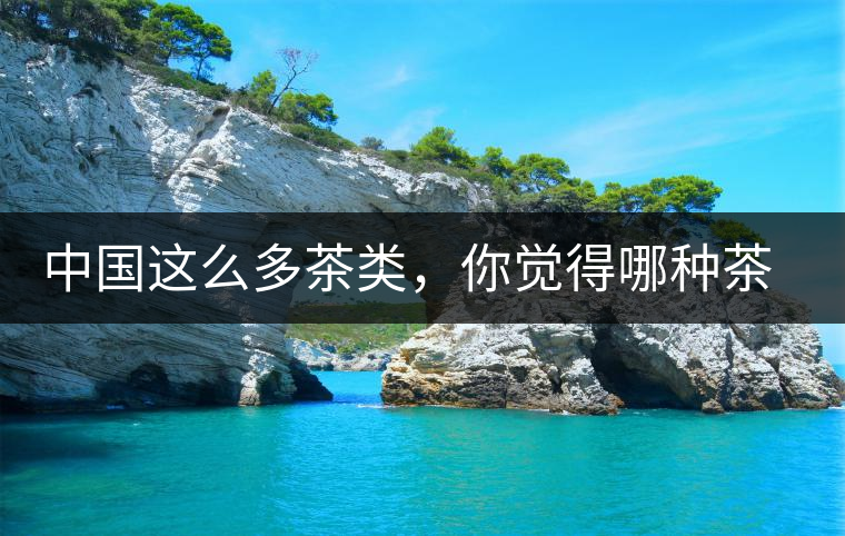 中國(guó)這么多茶類，你覺(jué)得哪種茶最好喝？