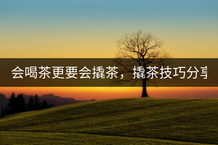 會(huì)喝茶更要會(huì)撬茶，撬茶技巧分享！