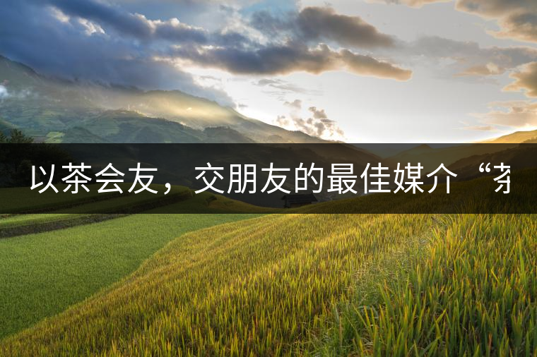 以茶會(huì)友，交朋友的最佳媒介“茶”！