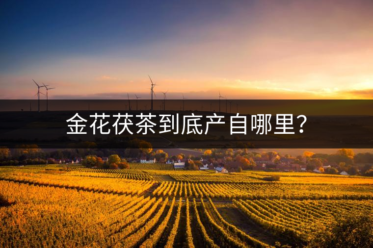金花茯茶到底產(chǎn)自哪里？