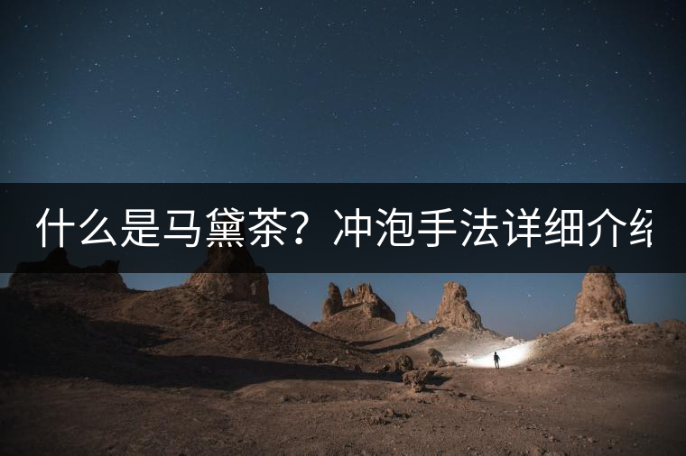 什么是馬黛茶？沖泡手法詳細(xì)介紹！
