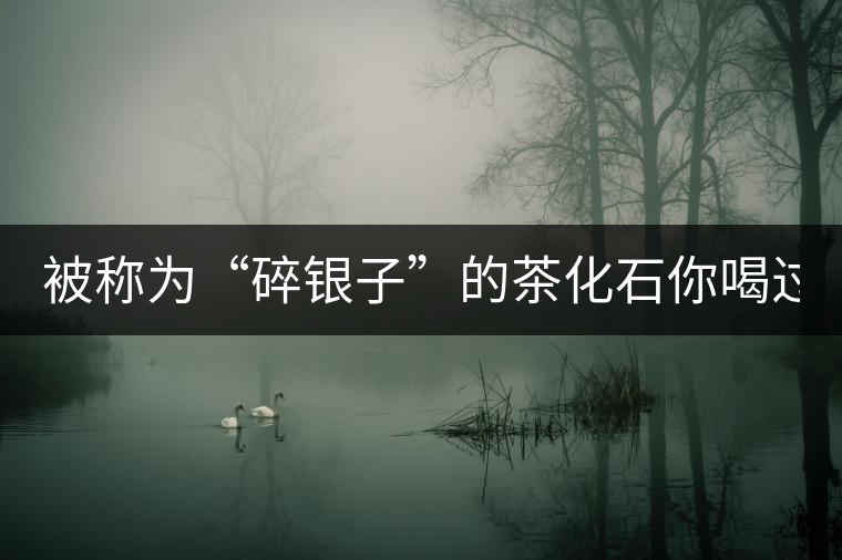 被稱(chēng)為“碎銀子”的茶化石你喝過(guò)嗎？