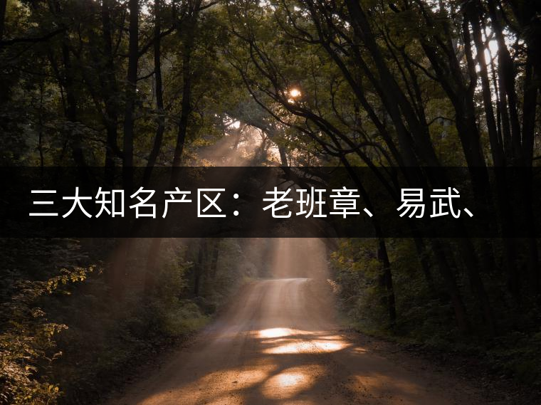 三大知名產(chǎn)區(qū)：老班章、易武、景邁三大茶系都有哪些特點(diǎn)！