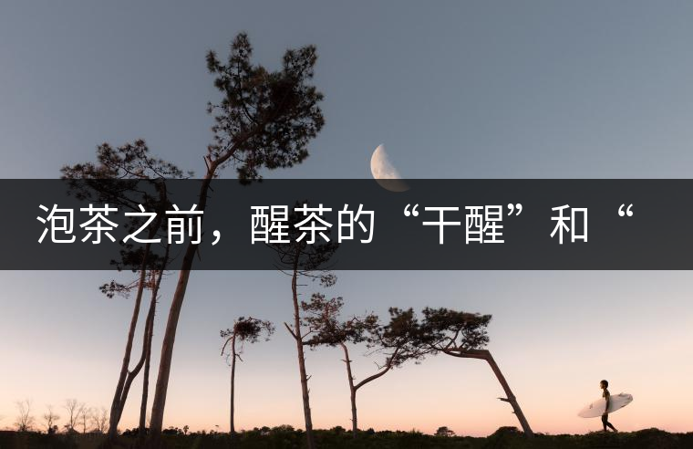 泡茶之前，醒茶的“干醒”和“濕醒”之區(qū)別