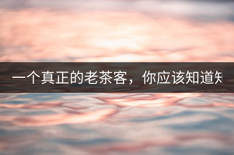 一個真正的老茶客，你應(yīng)該知道知識點(diǎn)！