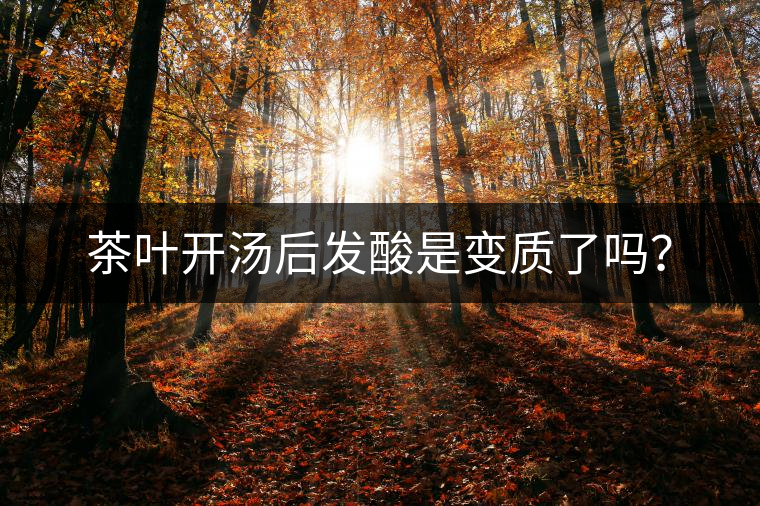 茶葉開湯后發(fā)酸是變質(zhì)了嗎？