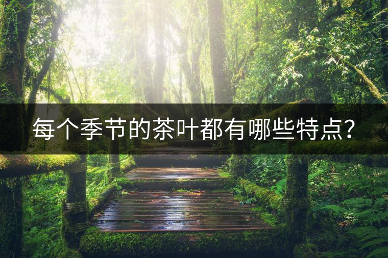 每個季節(jié)的茶葉都有哪些特點？
