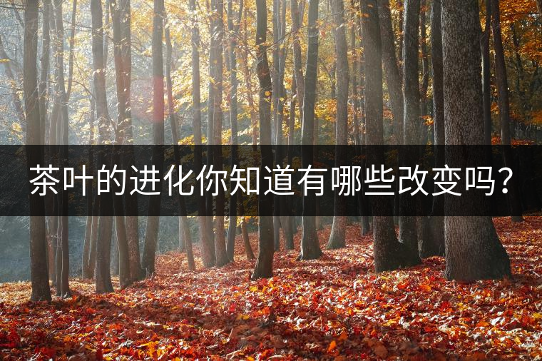 茶葉的進(jìn)化你知道有哪些改變嗎？
