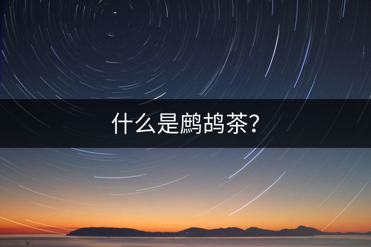 什么是鷓鴣茶？