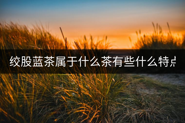 絞股藍(lán)茶屬于什么茶有些什么特點(diǎn)？