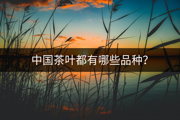 中國茶葉都有哪些品種？