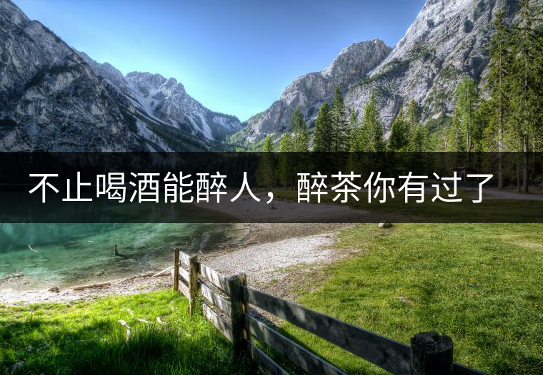 不止喝酒能醉人，醉茶你有過了解嗎？