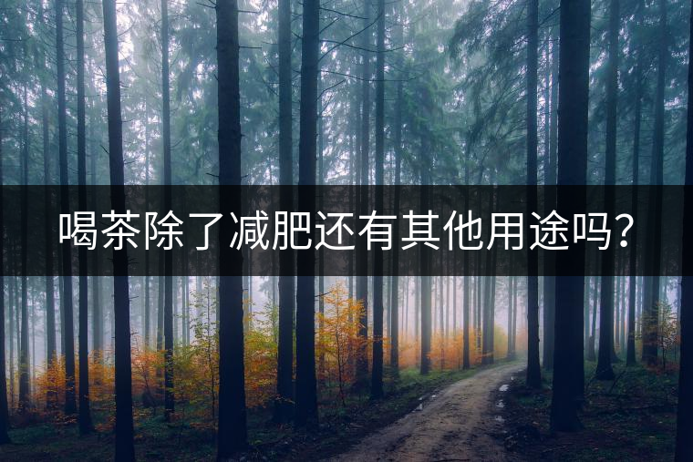 喝茶除了減肥還有其他用途嗎？