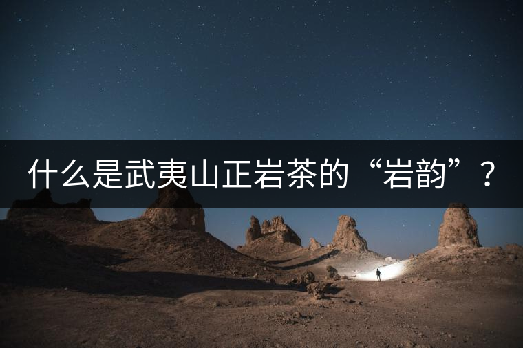 什么是武夷山正巖茶的“巖韻”？